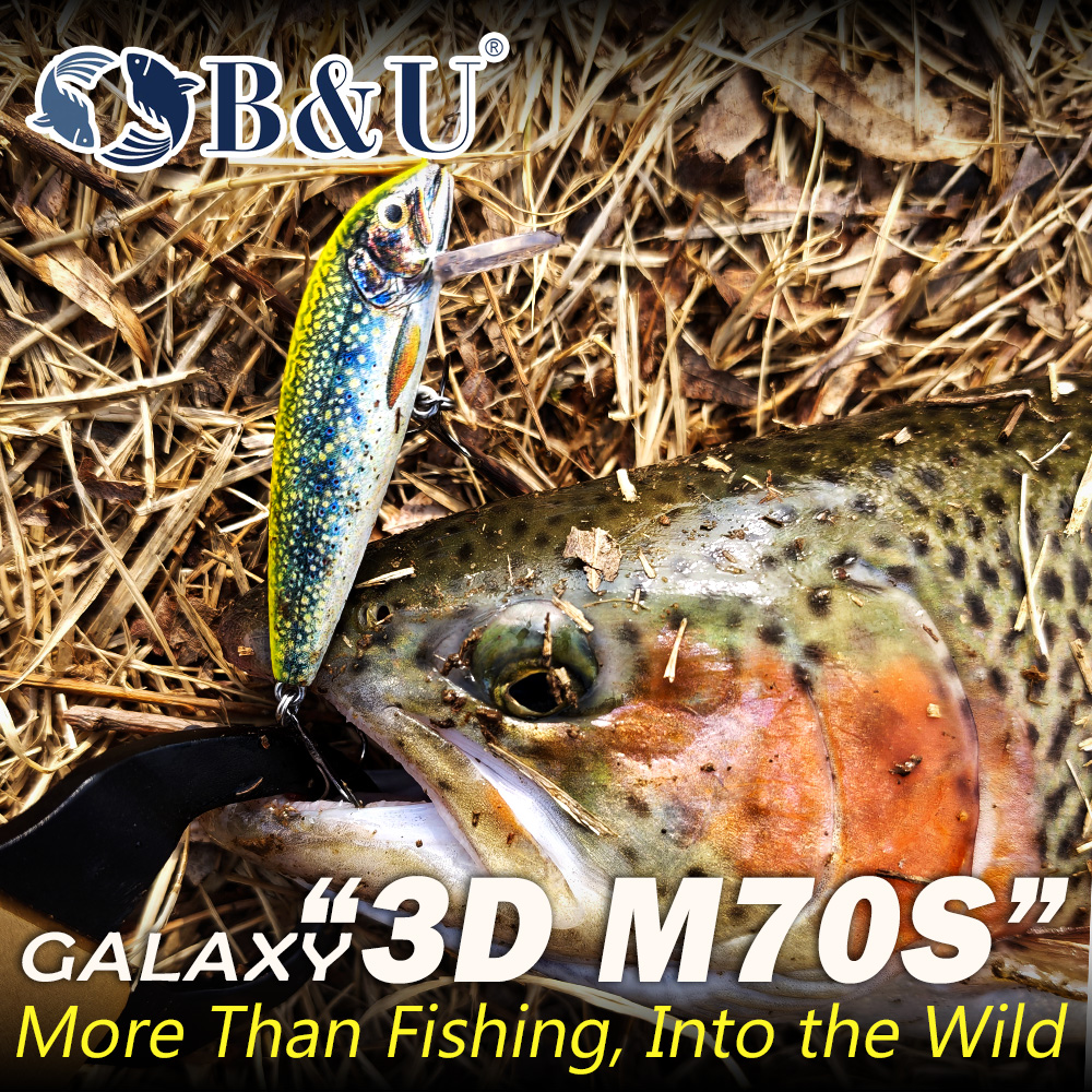 B&U Fishing Lures Sinking Minn - Fishing Hook Treble review and price